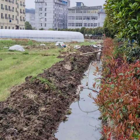修复水渠保灌溉