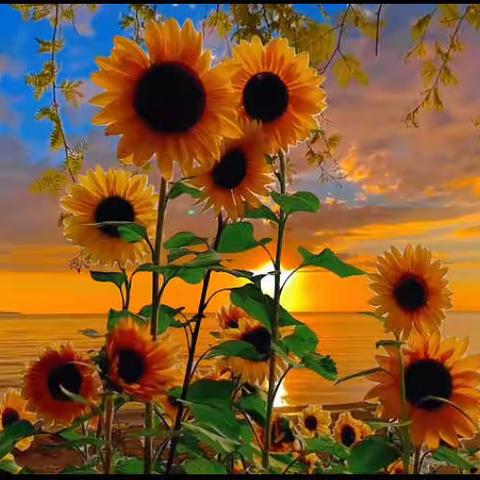 【枹罕学区·罗家堡小学】数学教研组与舜玉小学数学骨干教师线上磨课研课、共同备课