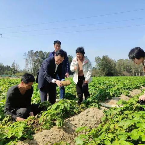 春耕进行时---平潭扎实抓好春季农业田管和春耕备耕工作