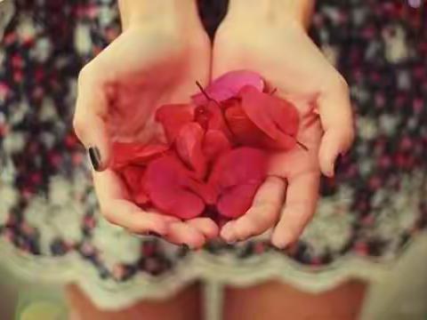 教育故事联播: 1.土拔鼠去哪了？