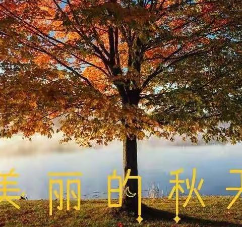 美丽的秋天