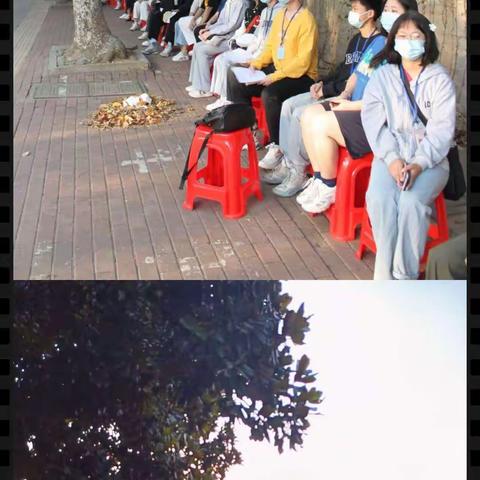 🎊小教五2005班教育认识实习