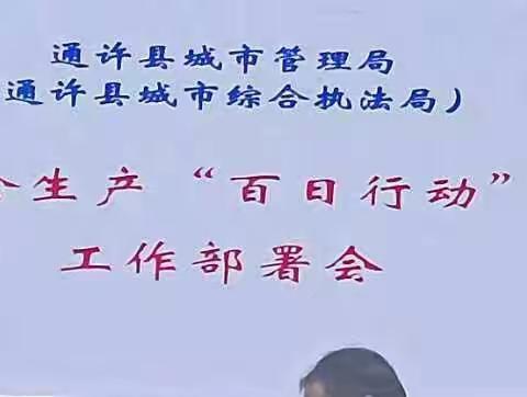 城管局召开安全生产百日行动工作部署会