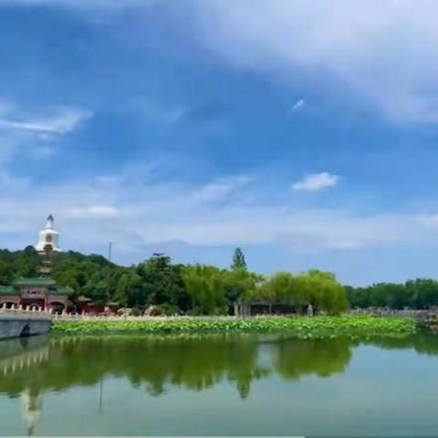 王荔公益讲座【第11期】