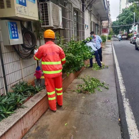 一片区11月23日专项整治背街小巷工作