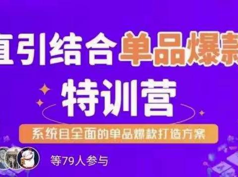 直引结合单品爆款特训营，系统且全面的淘宝单品爆款打造方案