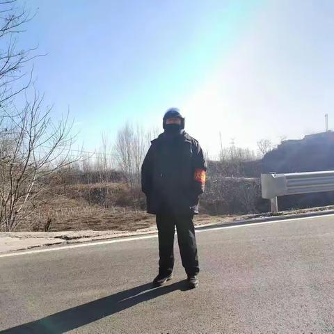 12月24日贾庄镇工作动态