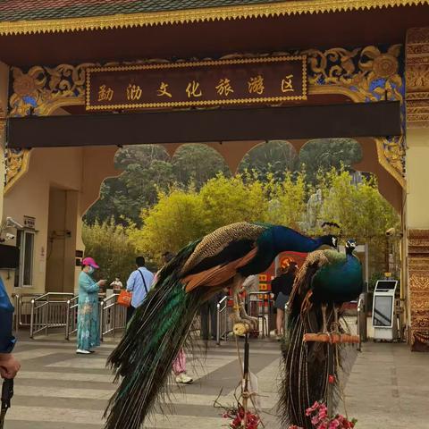 勐泐文化旅游区