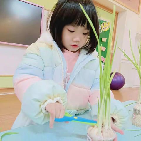 品格书香幼儿园爱心企鹅班十一月第3周生活记录