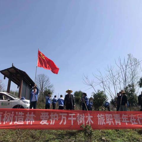 “植树造林 爱护万千树木 旅职青年在行动”张家界旅游学校植树活动