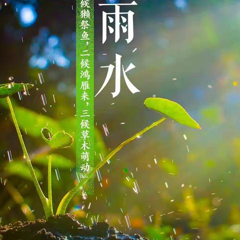 雨水时节——淮安市长征小学一（16）班雨水节气活动