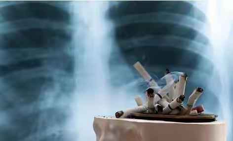 nmn保健品男，NMN可抑制肺部细胞损伤，建议男性收藏