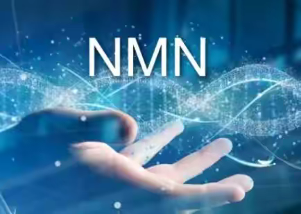 nmn选什么牌子，nmn什么牌子好用，这份指南请收好