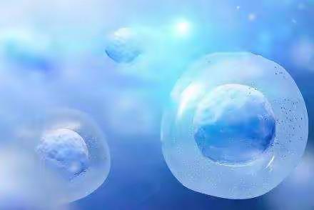 nmn的效果很明显，科学解密nmn作用原理