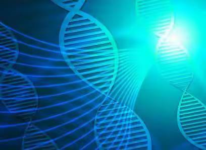 求：nmn牌子最便宜效果最好，nmn知名品牌告诉你，别痴心妄想