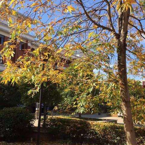 恰同学少年 风华正茂—2109