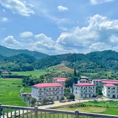 中山到苏州，乘着高铁去旅游，一路美景