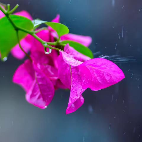 雨雨雨 1  💦💦💦