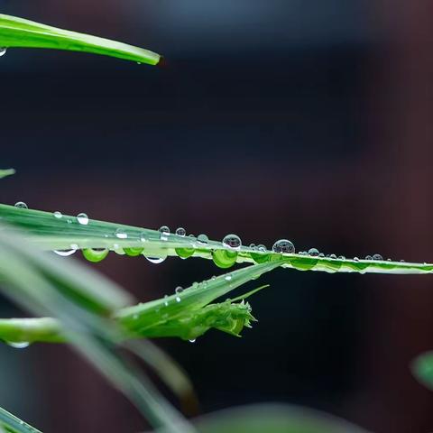 雨雨雨2💦💦💦