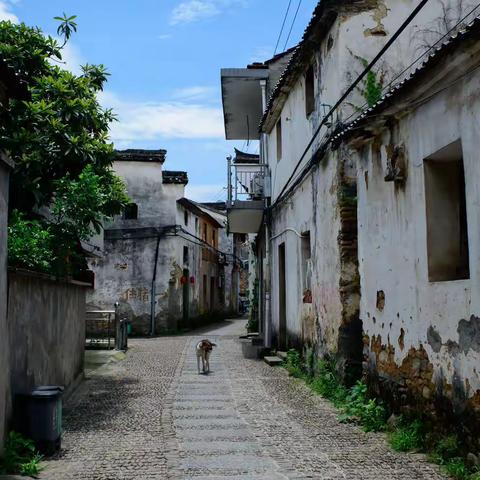 桐庐江南古村落——深澳村