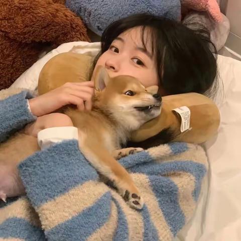 《沈若京楚辞琛》优质小说大结局全文阅读