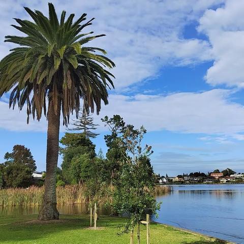 NZ scenery 4