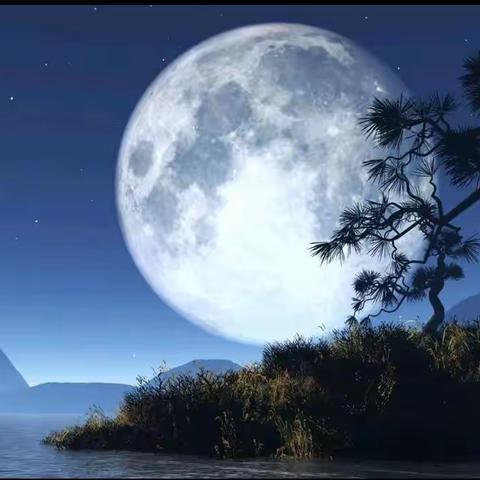 《中正集》［春泥辑］昨夜秋风吹叶落，明年化作厚泥肥。