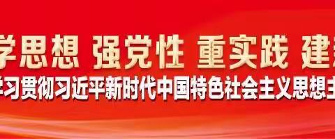 党课凝党心｜在学深悟透上下功夫，在知行合一上见实效—我校党支部书记、校长讲授主题教育党课