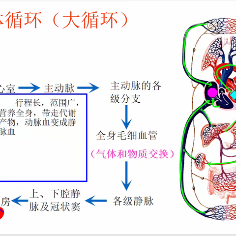 急性肺栓塞的处理及应急预案