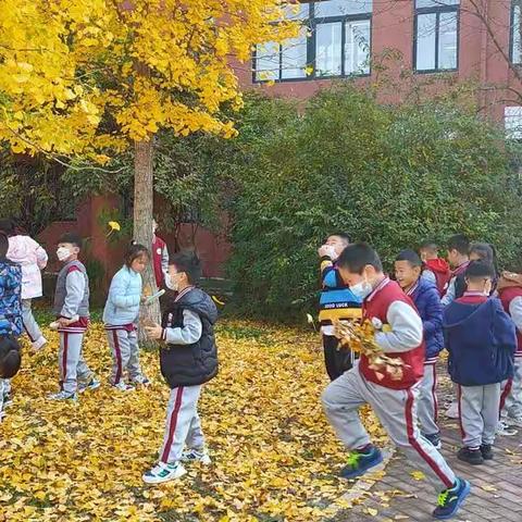 秋日后花园