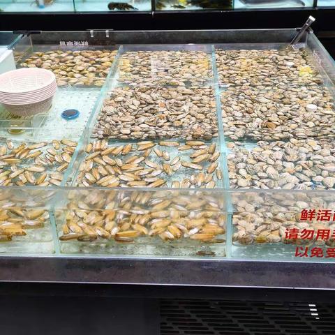 1月9日万福里店第三次开业报告