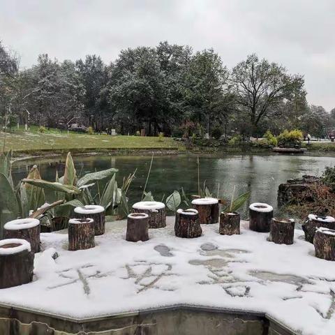 “思乡”诗两首+杭州西湖雪景！