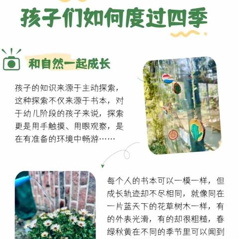 李坪幼儿园——《我们的植物园》