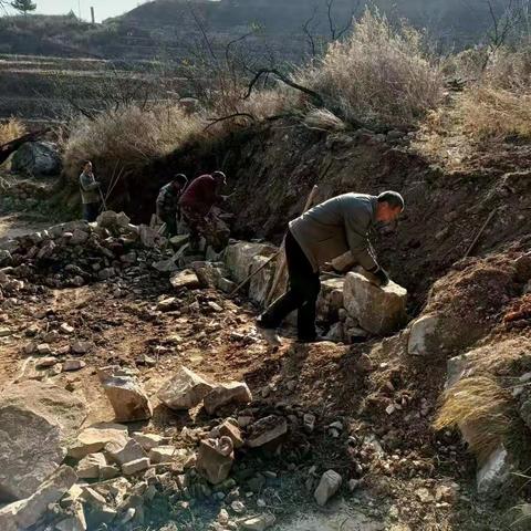 治理“六乱”开展“六清”工作日动态12.8