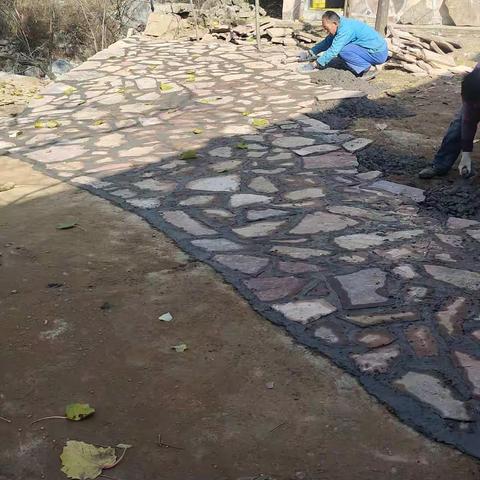 治理“六乱”开展“六清”工作日动态11.23