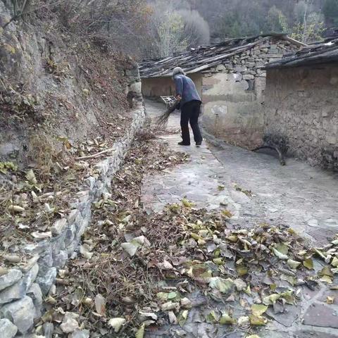 治理“六乱”开展“六清”工作日动态11.24