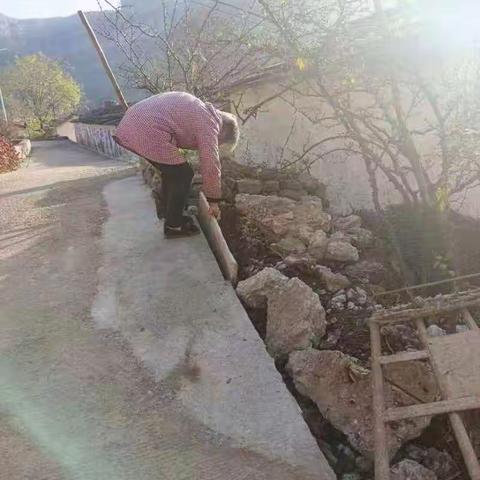 治理“六乱”开展“六清”工作日动态11.25