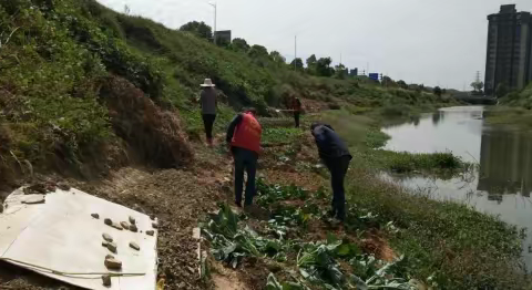 湾里管理局开展铁路治安环境加强铁路沿线整治。