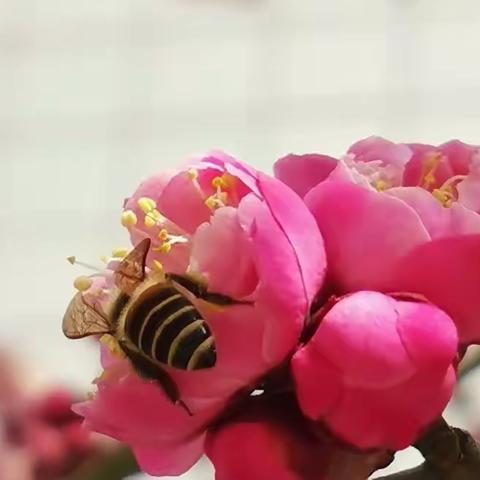 山阳县档案馆远程查档送服务