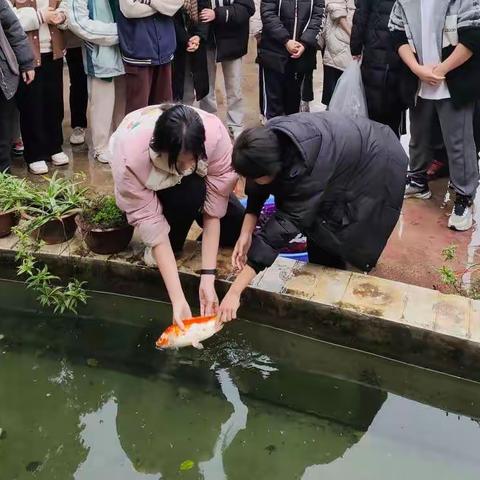 欢欢喜喜迎开学，“鱼”跃龙门争佳绩             ——武鸣区城镇二中新学期别样开学