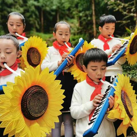 华头小学2019课后延时服务暨乡村少年宫活动——器乐社团篇