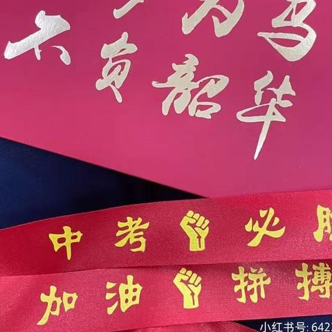 鲜衣怒马少年时 不负韶华行且知——灵山县龙岗中学2023年中考百日誓师大会