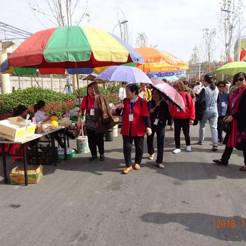 花海桃花源照片