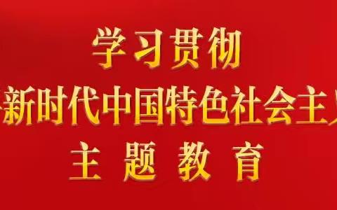 数学与统计学院第一党支部开展学习习近平新时代中国特色社会主义思想主题党日活动