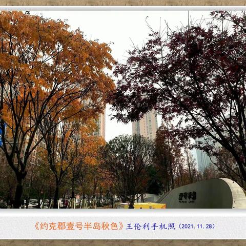 《约克郡壹号半岛秋色》(手机照片）2021.11.28