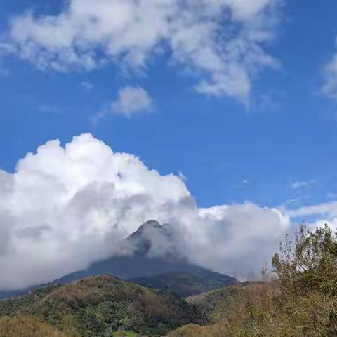 研学旅行促成长，最美课堂在路上——记2022年五指山市畅好中心学校秋季研学之行