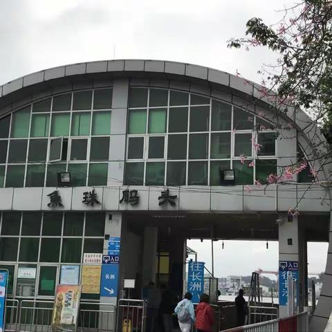 鱼珠码头