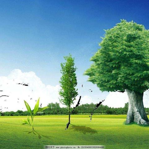 在巨人肩上，继续攀登