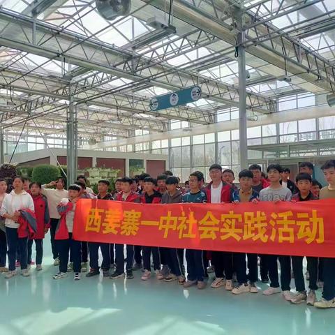 西姜寨一中社会实践活动