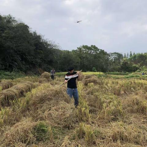 田家少闲月，农忙人倍忙——沙陂初中221班